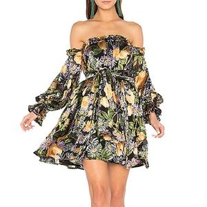 For Love and Lemons Luciana Dress